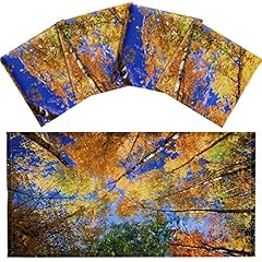 Hortsun pack fluorescent for sale  Delivered anywhere in USA 
