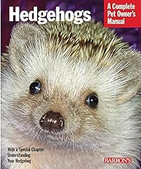 Hedgehogs for sale  Delivered anywhere in Ireland