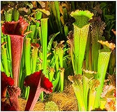 Carnivorous plant soil for sale  Delivered anywhere in Ireland
