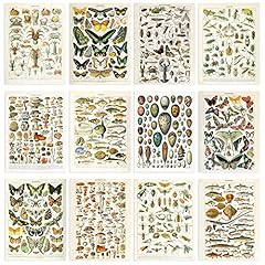 Artery8 collection vintage for sale  Delivered anywhere in UK