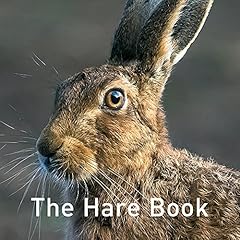 Hare book for sale  Delivered anywhere in UK