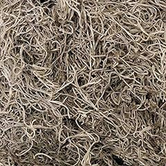 Fresh spanish moss for sale  Delivered anywhere in USA 