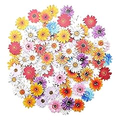 Alfykym 100pcs wood for sale  Delivered anywhere in USA 