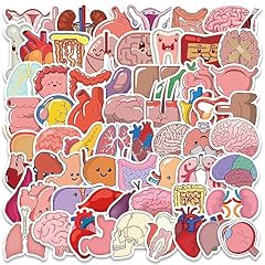 Cute cartoon organs for sale  Delivered anywhere in USA 