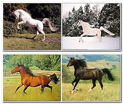 Arabian mare white for sale  Delivered anywhere in USA 