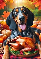Blue tick coonhound for sale  Delivered anywhere in USA 