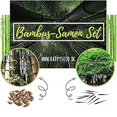 Bambus samen hoher gebraucht kaufen  Wird an jeden Ort in Deutschland
