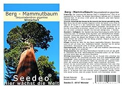 Seedeo berg mammutbaum gebraucht kaufen  Wird an jeden Ort in Deutschland