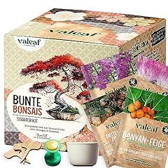 Valeaf bunte bonsai gebraucht kaufen  Wird an jeden Ort in Deutschland