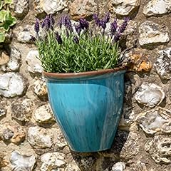 Creekwood wall plant for sale  Delivered anywhere in UK