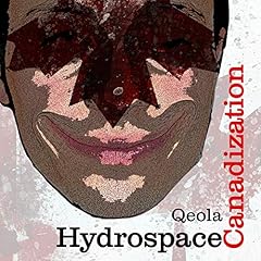 Hydrospace canadization usato  Spedito ovunque in Italia 