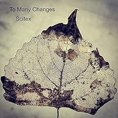 Too many changes usato  Spedito ovunque in Italia 