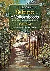 Saltino vallombrosa nella usato  Spedito ovunque in Italia 