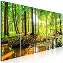 Xxl acrylglasbild wald gebraucht kaufen  Wird an jeden Ort in Deutschland