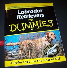 Labrador retrievers dummies for sale  Delivered anywhere in USA 