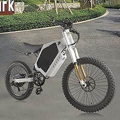 Liecaryam electric bicycle for sale  Delivered anywhere in USA 