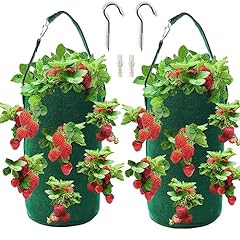 Betereap hanging strawberry for sale  Delivered anywhere in USA 