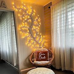 Enchanted willow vine for sale  Delivered anywhere in USA 