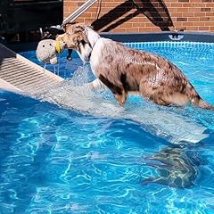 Petstep dog ramp for sale  Delivered anywhere in USA 