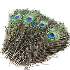 Dibaihuihomer pfau federn gebraucht kaufen  Wird an jeden Ort in Deutschland