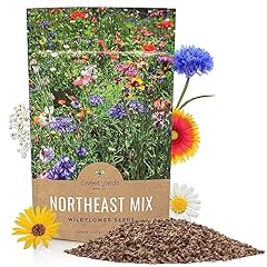 Northeast wildflower seeds for sale  Delivered anywhere in USA 