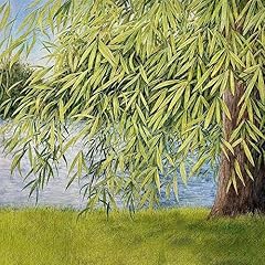 Nothing green willow for sale  Delivered anywhere in UK