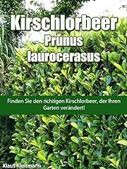 Kirschlorbeer - Prunus laurocerasus: Finden Sie den Kirschlorbeer, der Ihren Garten verändert (German Edition) usato  Spedito ovunque in Italia 
