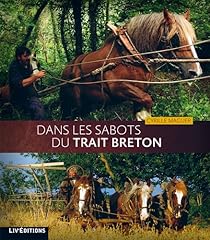 Sabots trait breton d'occasion  Livré partout en France