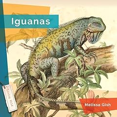Iguanas d'occasion  Livré partout en France