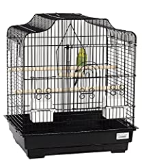 Liberta siam bird for sale  Delivered anywhere in Ireland