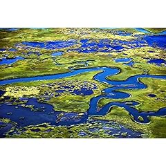 Artdirect marshlands new for sale  Delivered anywhere in USA 