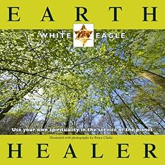 Earth healer use d'occasion  Livré partout en France