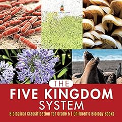 Five kingdom system for sale  Delivered anywhere in USA 