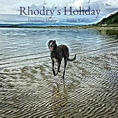Rhodry holiday for sale  Delivered anywhere in UK
