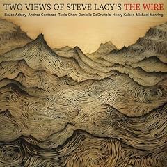 Two views steve usato  Spedito ovunque in Italia 