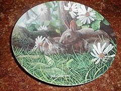 Rabbit plate kevin for sale  Delivered anywhere in USA 