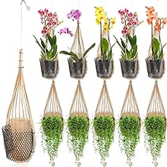 Pack orchid planter for sale  Delivered anywhere in USA 