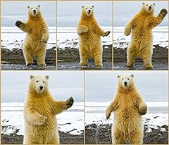 Dancing polar bear for sale  Delivered anywhere in UK