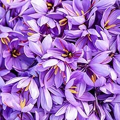 Yegaol garden saffron for sale  Delivered anywhere in USA 