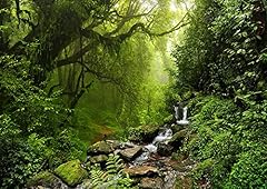 Haosphoto tropical forest for sale  Delivered anywhere in UK