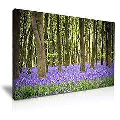 Bluebells forest trees for sale  Delivered anywhere in UK