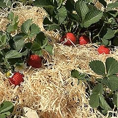 Holzwolle erdbeeren 5kg gebraucht kaufen  Wird an jeden Ort in Deutschland