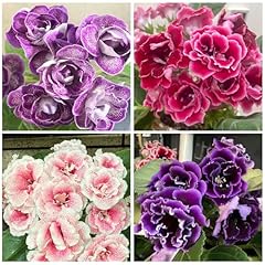 100 perennial mix for sale  Delivered anywhere in USA 
