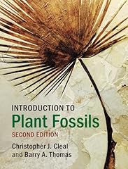 Introduction plant fossils for sale  Delivered anywhere in USA 