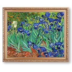 Irises vincent van for sale  Delivered anywhere in USA 