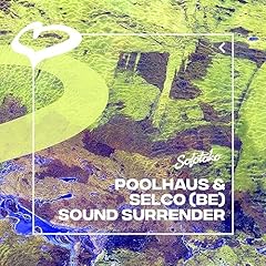 Sound surrender gebraucht kaufen  Wird an jeden Ort in Deutschland