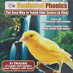 Feathered phonics volume for sale  Delivered anywhere in USA 