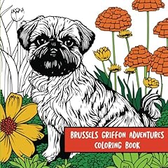 Brussels griffon adventures for sale  Delivered anywhere in USA 
