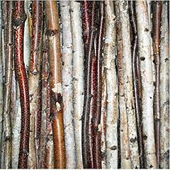 Wilson decorative birch for sale  Delivered anywhere in USA 