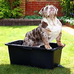Dog cat pet for sale  Delivered anywhere in UK
